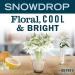 Mrs. Meyer's Limited Edition Snowdrop Room & Air Freshener Spray 8 fl. oz - Pack of 3 - Buy Online on GoSupps.com