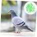 Sosoport 100 Pcs Pigeon Anklet Items Pigeon Deterrent Spray Products Bird Plastic Cuff Telephone Number 1.3X1.3CM Green - Buy Online on GoSupps.com