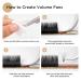 LASHVIEW Easy Fan Volume Lashes - Silk Semi-permanent Handmade Auto-Fan Eyelashes (0.07-C 8-15mm Mixed) for Professional Salon Use - Buy Online on GoSupps.com