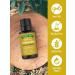 Nature's Truth Frankincense Essential Oil - .5 oz Pack of 2 - Buy Online on GoSupps.com