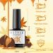 RSTYLE Gel UV Nail Polish 6 Colours 6 ml Popular Reddish Brown UV Nail Polish Set Colour Gel for Gel Nails Nail Polish Shiny Shellac Nail Polish Soak Off UV LED Nails Brown chestnut - Buy Online on GoSupps.com