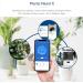 LEVOIT 6L Large Tank Top-Fill Cool Mist Humidifier for Bedroom & Baby Home - Quiet Sleep Mode, Smart App & Alexa Control - 60H Runtime - Essential Oil Diffuser - Gray - Buy Online on GoSupps.com