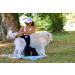 Nature PET - 2.0 Funeral Pants for Dogs | Soft & Hygienic Dog Diapers for Male Incontinence (XS-L) - Black (1 Pack) - Buy Online on GoSupps.com