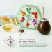ACORUS | Travel Tea Set - Round-the-world | 6 Flavors Herbal and Fruit Tea Box | Trip of Your Dreams with Selection of Teas You Have Never Tasted Before | Large Selection Tea Gift Set - 60 Tea Bags - Buy Online on GoSupps.com