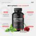 Montmorency Cherry 3500mg Extract - Powerful Antioxidant - Non-GMO, Gluten-Free - 90 Capsules - Buy Online on GoSupps.com