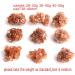 Natural Crystal Rough Natural Rare Orange Aragonite Quartz Crystal Cluster Shape Rough Stone Cluster Nepheline Specimen (Color : 20-30g Size : 2pcs Aragonite) 2pcs aragonite 20-30g - Buy Online on GoSupps.com