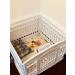 Pet Playpen Foldable Gate for Dogs | Portable Indoor Outdoor Exercise Pen with Door | Heavy Plastic Puppy Fence for Small Pets | Medium Animals House Supplies | Folding Cage with Urine Pad - Buy Online on GoSupps.com