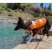 Wallpage Dog Lifeguard Vest - Classic Stripes Adjustable Tear-Resistant Strong Rescue Handle for Swimming & Boating - Orange M (Chest Girth: 53-65cm) - Buy Online on GoSupps.com