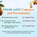 BoaVida Deodorizing Citrus Plus Elder Shampoo & Body Wash - Persimmon Formula to Eliminate Nonenal & Odors - 1 Gallon | International Shipping Available - Buy Online on GoSupps.com