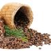 Cedar nut pine nuts from Siberia unpeeled 500 g