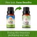 100% Pure Tea Tree Essential Oil - 30 ml (2 Pack) for Skin, Nails, Hair, Acne & Dandruff Control - GuruNanda Therapeutic Grade Oil - Aromatherapy Diffuser, Skin Care & Beauty - Buy Online on GoSupps.com