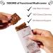 Full Dose Vegan Protein Bars with Functional Mushrooms - Lions Mane, Chaga, Reishi, Cordyceps | Nootropic Adaptogens | Gluten Free Superfoods Protein Bars - Buy Online on GoSupps.com