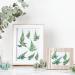 Dried Pressed Flowers and Leaves Set - 200Pcs Larkspur, Ferns, and Green Leaves for Resin Art, Wedding Decor, DIY Crafts - Natural and Preserved Dry Flowers - Buy Online on GoSupps.com