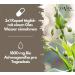 Exvital Premium Bio Ashwagandha | 180 Vegan Capsules | 600 mg Each | Ayurvedic Quality No Additives - Buy Online on GoSupps.com