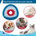 EXPAWLORER Cute Donut Cat Cone Collar - Soft E-Collar for Wound Healing and Recovery, Ideal for Cats, Kittens, and Small Dogs - Buy Online on GoSupps.com