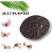 NIMXY Volcanic Lava Pumice Stone - Natural Foot File for Dead Skin Removal and Callus Remover - Handheld Foot Scrubber for Feet and Hands - Brown - Buy Online on GoSupps.com