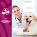 NaturVet ArthriSoothe-GOLD Advanced Care Level 3 - 180 Soft Chews for Joint Support (15.2 oz) - Buy Online on GoSupps.com