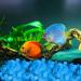 Glowing Blue BallHull 1.4cm Fish Tank Gravel Rocks - 300 Pcs for Fish, Turtles, Gardens, Flower Pots - Buy Online on GoSupps.com
