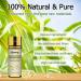 Hyppry Natural Essential Oils for Home Diffuser - 12 x 5ml Set with Tea Tree, Lavender, Peppermint, and More - Buy Online on GoSupps.com