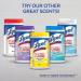 Lysol Spring Waterfall Sanitizing Spray 12.5oz - Disinfectant & Antibacterial Formula - Buy Online on GoSupps.com