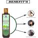 Blessfull Healing Organic Amla & Bhringraj Natural Hair Conditioner 100 ml (Packing May Vary) 100 ml (Pack of 1) - Buy Online on GoSupps.com
