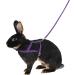 Kerbl 81760 Agility Shoulder Harness with 2m Leash - Purple M | International Shipping Available - Buy Online on GoSupps.com