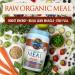 Garden of Life RAW Organic Meal Shake - Vanilla Spiced Chai 32 oz (907 g) | Meal Replacement - Buy Online on GoSupps.com