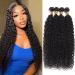 Water Wave Bundles Human Hair Brazilian Virgin Water Wave 4 Bundles for Black Women Water curly Ocean Wave Bundles 18 18 20 20 Inch Hair Extensions Natural Black Color Water Wave Bundles 18 18 20 20