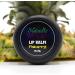 Naturally Wicked Pineapple Lip Balm | Natural & Vegan Lip Repair Balm | 15ml - Buy Online on GoSupps.com