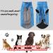 Plus Po Waterproof Dog Raincoat with Hood - Blue for Small Dogs | Durable & Stylish Rain Gear - Buy Online on GoSupps.com