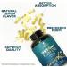 Nature's Nutrition Omega 3 Fish Oil 2400 Mg  - Lemon  - Buy Online on GoSupps.com