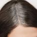 Everpro Gray Away Root Conceal Light Brown 1.5oz - Cover Gray Roots Instantly - Buy Online on GoSupps.com