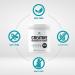 600g Creatine Monohydrate Powder | Micronized & Unflavored | 5000mg per Serving | 120 Servings | Vegan & Keto Friendly | Non-GMO - Buy Online on GoSupps.com