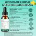 Methylfolate Supplement Liquid Drops L Methy Folate 15mg Plus Methy B12 B6 B2 Multivitamin Metabolically Active 5-MTHF Form for Mood Homocysteine Methylation Cognition Energy Nerve Health* - Buy Online on GoSupps.com