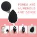 Buy Sibba 6Pcs Makeup Sponge Set Soft Blending Sponges for Foundation Cream & Powder Perfect Beauty Tools for Flawless Makeup | International Shipping Available - Buy Online on GoSupps.com