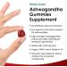 High Strength Ashwagandha Gummies 1200mg - 180 Vegan Gummys with 5% Withanolides, Real Fruit Juice, Gluten-Free, No Artificial Colors or Flavors - Made by New Leaf - Buy Online on GoSupps.com