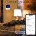 WiFi Hygrometer Thermometer with External Probe - Wireless Digital Monitor for Home, Greenhouse, Fish Tank & Refrigerator - Tuya App Compatible - Real-time Sync & Backlight LCD - Buy Online on GoSupps.com