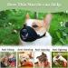 Breathable Dog Muzzle for XXS to XXL - Adjustable for Chihuahua Beagle Golden Retriever | Anti-Biting & Chewing - Black XS - Buy Online on GoSupps.com