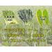FINE JAPAN Aojiru Green Powder Juice & Smoothie Mix Natural Green Superfood Blend - Supports Digestion and Energy- 30-Day Course (100g) - Buy Online on GoSupps.com