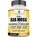 American Standard Supplements Irish Sea Moss 1200mg, Bladderwrack 1200mg and Burdock Root 225mg Per Serving - Vegan, Gluten Free, Non-GMO, 120 Capsules, 40 Servings