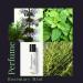 Rosemary Mint Perfume Oil Natural Organic Botanical Fragrance Pure Essential Oils Roll-On 10ml - Buy Online on GoSupps.com