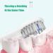 Waterpik Sonic Fusion Compatible Toothbrush Head Replacement - Compact White (3 Pack) - Buy Online on GoSupps.com