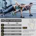 Buy Cofit Breathable Fitness Gloves - Non-Slip Training Gloves for Men & Women | Wrist Support Weightlifting Gloves for Gym & Strength Training - Pink - Buy Online on GoSupps.com