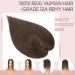 Silk-co 10inch Hair Topper for Thinning Hair Women Clip in Real Remy Human Hair Extensions Top Piece Base Size 10 * 12cm Silk+Lace Base (#02 Dark Brown) 10 Inch #02 Dark Brown - Buy Online on GoSupps.com