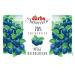 Darbo Fruity Blueberry Fruit Spread - 6x200g Wild Blueberry Jars | Premium International Shipping - Buy Online on GoSupps.com
