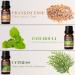 Men's Essential Oils Set - 6 Manly Fragrance Oils for Home Diffusers - Frankincense, Teakwood, Sandalwood, and More - Aromatherapy & Candle Making - Buy Online on GoSupps.com