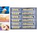 168 Pcs Dental Synthetic Resin Denture Teeth Set - Halloween Horror False Teeth, Shade 23 A3 Upper Lower - Buy Online on GoSupps.com