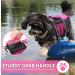 Queenmore Small Dog Life Jacket - Adjustable Pet Vest for Small and Medium Dogs - High Buoyancy & Rescue Handle - Reflective Bands - X-Small Pink - Buy Online on GoSupps.com