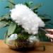 Fovolat Ceiling Fan Duster Portable Washable Duster | Household Cleaning Supplies Electrostatic Duster Feather Brush with 10 Replacement Heads for Window Furniture - Buy Online on GoSupps.com