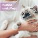 Felisept Fell Care Spray for Cats - 250ml Anti-Mite Treatment | International Shipping - Buy Online on GoSupps.com